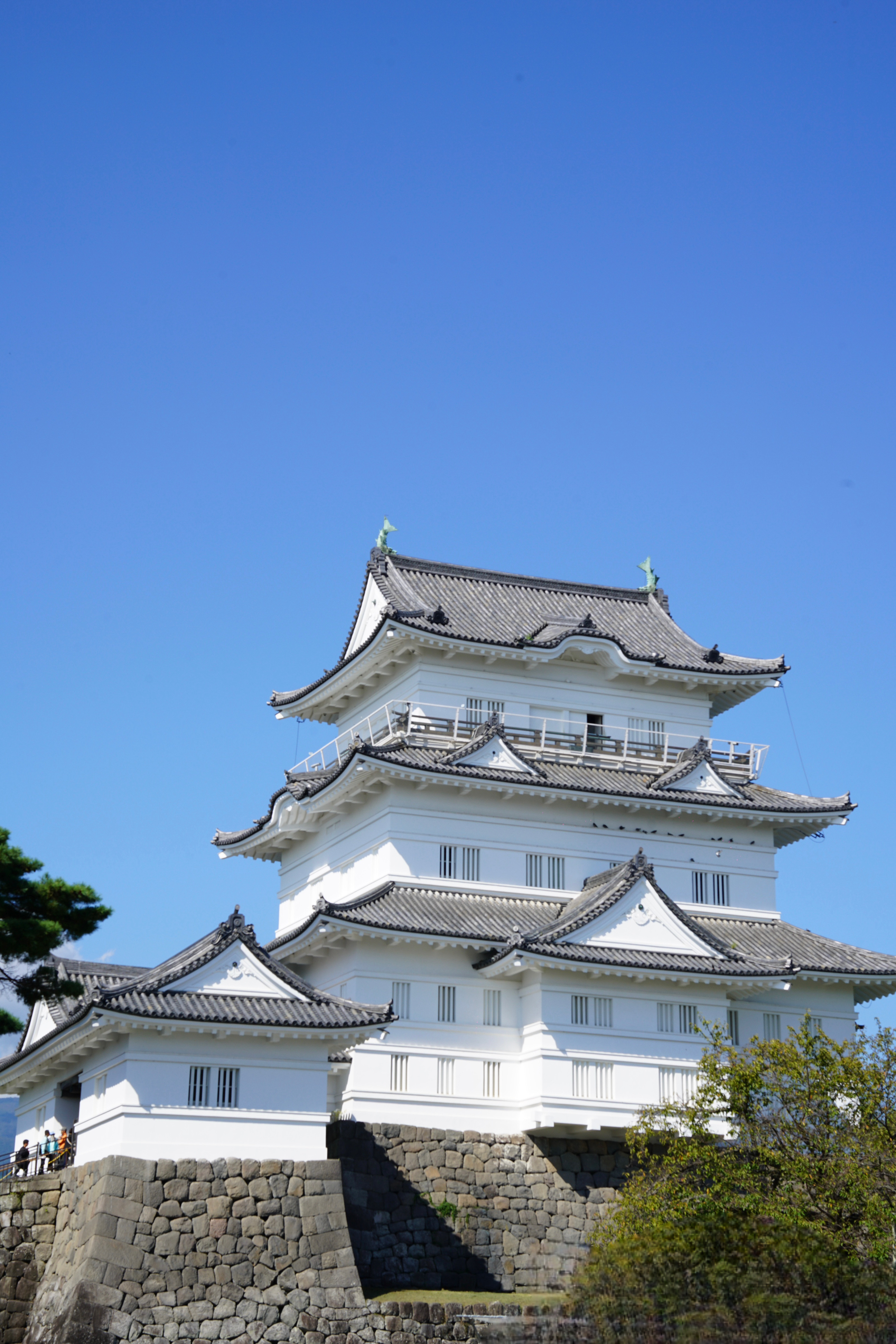 A Day in Odawara: Castles, Ninjas, and Splashing Waves!