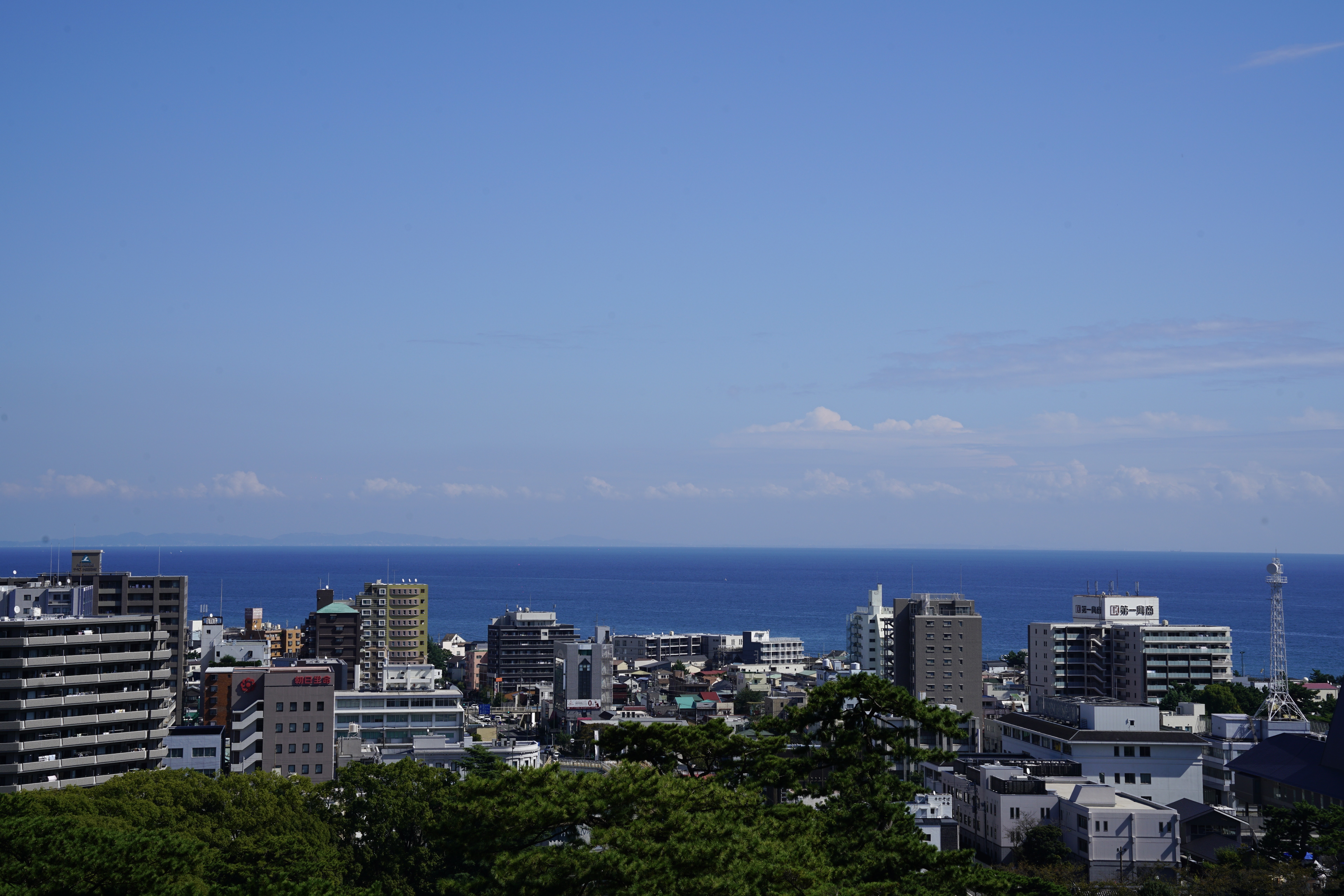 A Day in Odawara: Castles, Ninjas, and Splashing Waves!