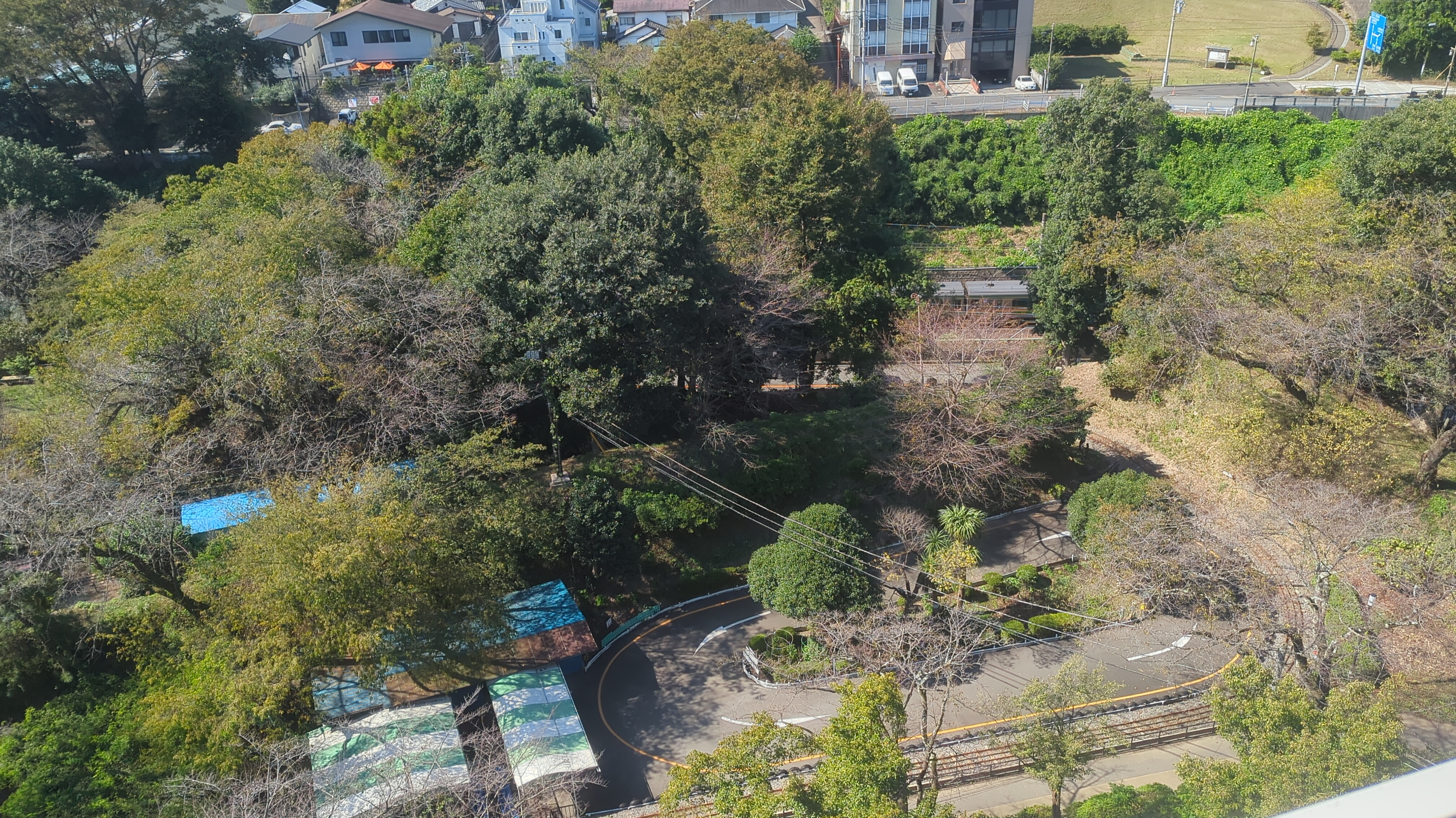 A Day in Odawara: Castles, Ninjas, and Splashing Waves!