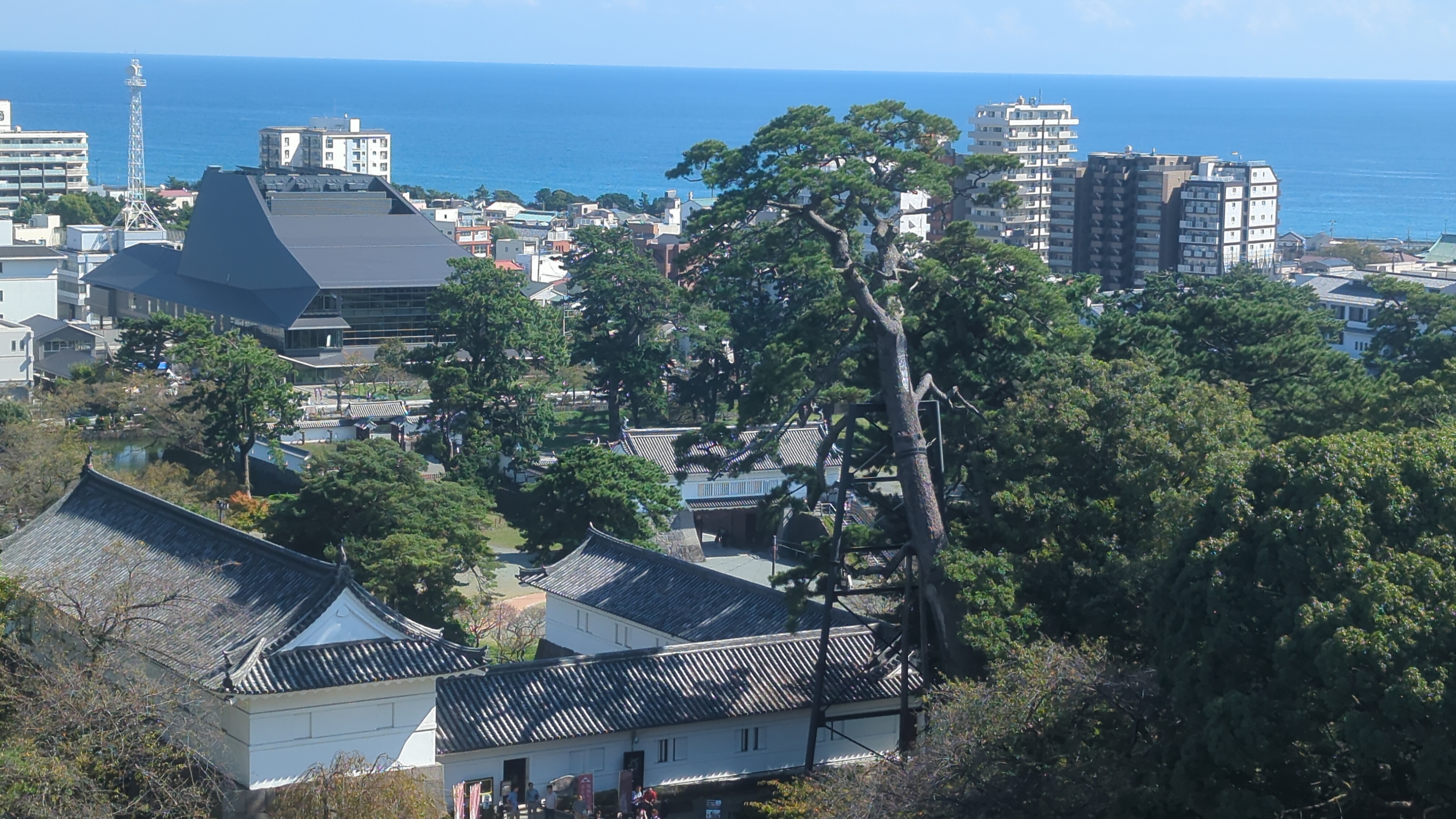 A Day in Odawara: Castles, Ninjas, and Splashing Waves!